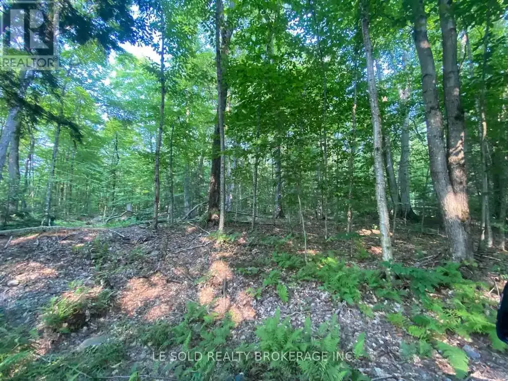 Lot # 7 - 1310 Camel Lake Road, Muskoka Lakes (Watt)